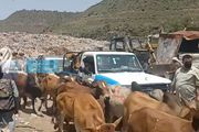 تجاوبا مع كريتر سكاي سلطة إب تداهم مقلب...