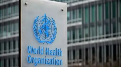 اخبار اليمن الان منظمة الصحة العالمية انتشار شيكونجونيا اخبار اليمن الان الحدث اليوم عاجل