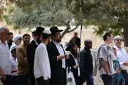 صحيفة الثورة صنعاء اخبار اليمن الان محافظة التعتيم اقتحامات الأقصى وتساؤلات اخبار اليمن الان الحدث اليوم عاجل صحيفة الثورة صنعاء