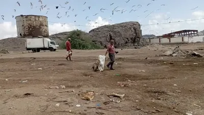 اخبار اليمن الان يحدث واسعة لتنظيف الأسماك البريقة اخبار اليمن الان الحدث اليوم عاجل