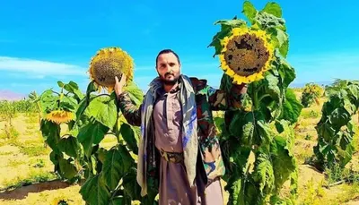 اخبار اليمن الان صنعاء إنجاز زراعي موازين الاستيراد اخبار اليمن الان الحدث اليوم عاجل