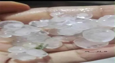 اخبار اليمن الان أمطار مصحوبة بحبات البرد تهطل اخبار اليمن الان الحدث اليوم عاجل