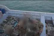 اخبار اليمن الان الحدث اليوم عاجل صحيفة المرصد