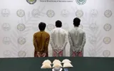 عكاظ اخبار اليمن الان مكافحة المخدرات بالرياض لترويجهم كيلوغرامات اخبار اليمن الان الحدث اليوم عاجل عكاظ