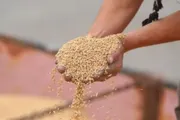 اخبار اليمن الان الحدث اليوم عاجل عرب تايم