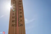 السلام نيوز اخبار اليمن الان موسكو الحرارة تحذيرات وتوقعات بمخاطر اخبار اليمن الان الحدث اليوم عاجل السلام نيوز