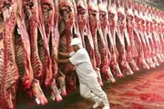 عاجل السعودية اخبار اليمن الان العامة منظمات بريطانية واردات البرازيلية اخبار اليمن الان الحدث اليوم عاجل عاجل السعودية