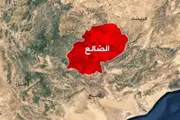 اخبار اليمن الان الحدث اليوم عاجل صدى الساحل