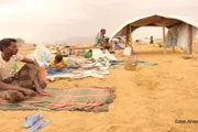 عرب تايم اخبار اليمن الان اخبار وتقارير مخيمات بمحافظة اليمنية اخبار اليمن الان الحدث اليوم عاجل عرب تايم