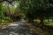 اخبار اليمن الان الحدث اليوم عاجل عاجل السعودية