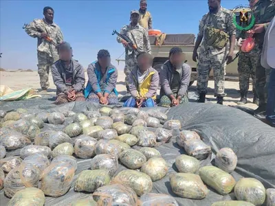 اخبار اليمن الان إنجاز أمني القبض مهربين بالمخدرات  اخبار اليمن الان الحدث اليوم عاجل