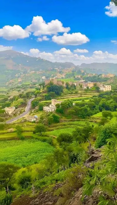 اخبار اليمن الان الحدث اليوم عاجل 