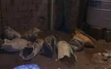 اخبار اليمن الان الحدث اليوم عاجل عدن تايم