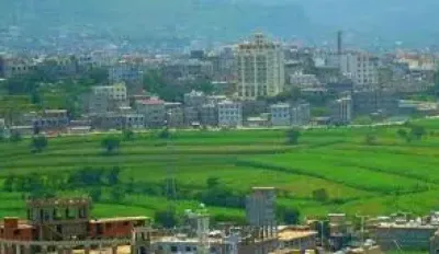 اخبار اليمن الان مطعم يشهد حادثة اعتداء الحلويات اخبار اليمن الان الحدث اليوم عاجل