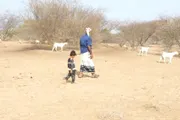 صدى الساحل اخبار اليمن الان مسام يطهر أكثر ملايين مربع اخبار اليمن الان الحدث اليوم عاجل صدى الساحل