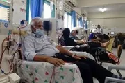 صحيفة الثورة صنعاء اخبار اليمن الان الصحة بغزة تعلن الكلى الشفاء اخبار اليمن الان الحدث اليوم عاجل صحيفة الثورة صنعاء