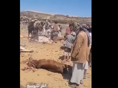 اخبار اليمن الان الحدث اليوم عاجل 