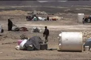 وكالة 2 ديسمبر اخبار اليمن الان الهجرة الدولية اليمن المليشيا الحوثية اخبار اليمن الان الحدث اليوم عاجل وكالة 2 ديسمبر