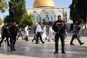 وكالة الصحافة اليمنية اخبار اليمن الان عدد1059 مستوطنا المسجد الأقصى الأسبوع اخبار اليمن الان الحدث اليوم عاجل وكالة الصحافة اليمنية