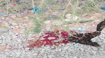 اخبار اليمن الان تفاصيل مقتل شحير المتهمين باوزير اخبار اليمن الان الحدث اليوم عاجل