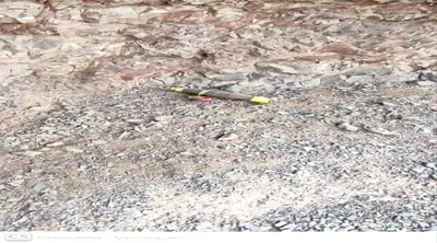 اخبار اليمن الان الأجهزة الأمنية بالمسيمير بمنطقة السراحنة اخبار اليمن الان الحدث اليوم عاجل