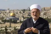 اخبار اليمن الان الحدث اليوم عاجل وكالة الصحافة اليمنية