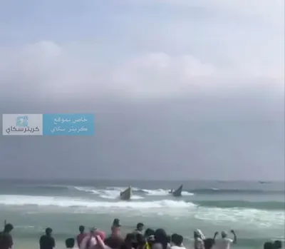 اخبار اليمن الان العثور صياد مفقود الرعب البحر اخبار اليمن الان الحدث اليوم عاجل