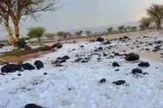 اخبار اليمن الان الحدث اليوم عاجل يمنات