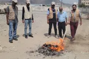 عرب تايم اخبار اليمن الان إتلاف الحوت المحضور مديرية البريقة اخبار اليمن الان الحدث اليوم عاجل عرب تايم