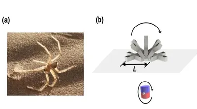 اخبار اليمن الان روبوت مستوحى العنكبوت الجهاز الهضمي اخبار اليمن الان الحدث اليوم عاجل