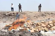 اخبار اليمن الان الحدث اليوم عاجل صدى الساحل