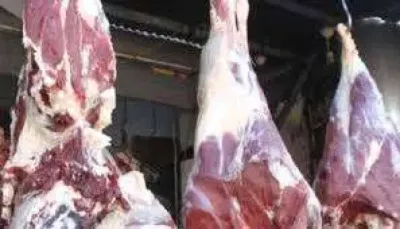 اخبار اليمن الان ارتفاع اللحوم ومواطنون ويطالبون بالرقابة اخبار اليمن الان الحدث اليوم عاجل