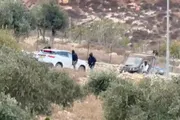 فرانس 24 اخبار اليمن الان الضفة الغربية إسرائيل مستوطنين استهدفت اخبار اليمن الان الحدث اليوم عاجل فرانس 24