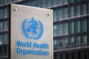 عرب تايم اخبار اليمن الان اخبار وتقارير الصحة العالمية إيبولا اخبار اليمن الان الحدث اليوم عاجل عرب تايم