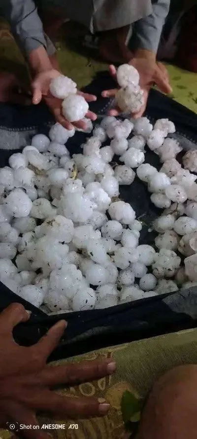 اخبار اليمن الان بأحجام كبيرة مديرية العشة بعمران اخبار اليمن الان الحدث اليوم عاجل