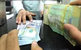 اخبار اليمن الان الحدث اليوم عاجل وكالة الصحافة اليمنية
