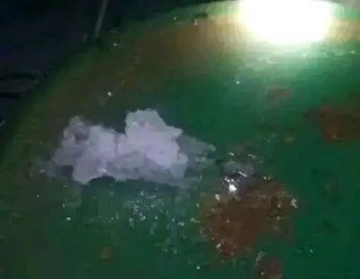 اخبار اليمن الان موجة قارس تضرب محافظات يمنية اخبار اليمن الان الحدث اليوم عاجل