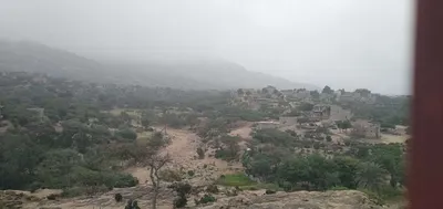 اخبار اليمن الان هطول امطار القبيطة صورة اخبار اليمن الان الحدث اليوم عاجل