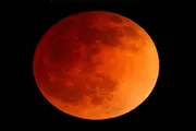 عدن تايم اخبار اليمن الان القمر الدموي اخبار اليمن الان الحدث اليوم عاجل عدن تايم