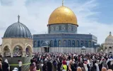 وكالة الصحافة اليمنية اخبار اليمن الان المستوطنين يدنسون المسجد الأقصى ومقبرة اخبار اليمن الان الحدث اليوم عاجل وكالة الصحافة اليمنية