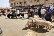اخبار اليمن الان الحدث اليوم عاجل عرب تايم
