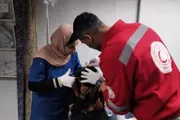 وكالة الصحافة اليمنية اخبار اليمن الان إصابة برصاص الاحتلال الفارعة طوباس اخبار اليمن الان الحدث اليوم عاجل وكالة الصحافة اليمنية