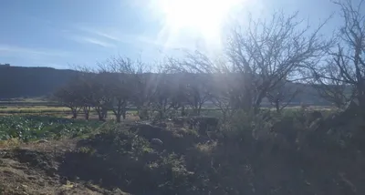 اخبار اليمن الان جديدة متوقعة يرافقها انخفاض الرطوبة اخبار اليمن الان الحدث اليوم عاجل