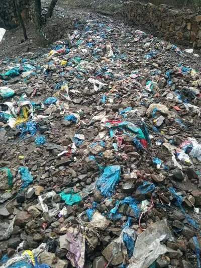 اخبار اليمن الان الأكياس البلاستيكية تتحول الأراضي الزراعية اخبار اليمن الان الحدث اليوم عاجل