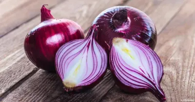 اخبار اليمن الان البصل القلب والسكري دراسة تأثيره اخبار اليمن الان الحدث اليوم عاجل