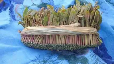 اخبار اليمن الان محافظة يمنية تصدر القات الدولة اخبار اليمن الان الحدث اليوم عاجل