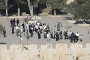 عرب تايم اخبار اليمن الان أوقاف مستوطنا اقتحموا المسجد الأقصى اخبار اليمن الان الحدث اليوم عاجل عرب تايم