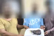 اخبار اليمن الان الحدث اليوم عاجل صدى الساحل