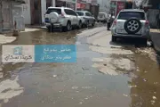 اخبار اليمن الان الحدث اليوم عاجل كريتر إسكاي