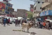 اخبار اليمن الان الحدث اليوم عاجل كريتر إسكاي